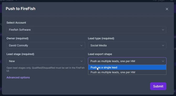 02-Choose-Firefish-lead-export-options